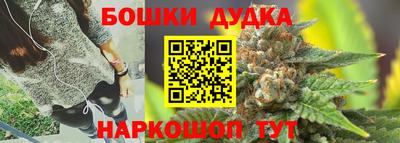 Альфа ПВП Сланцы
