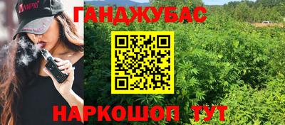 Альфа ПВП Сланцы