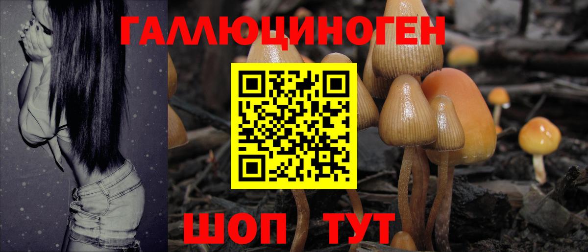 Галлюциногенные грибы GOLDEN TEACHER Новозыбков