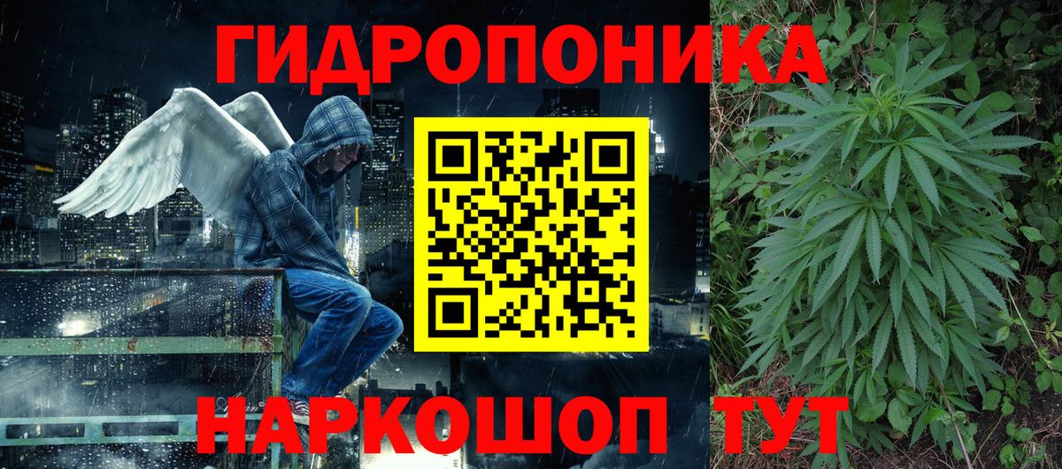 Кокаин  Вейп ТГК  ГАШ  Где купить наркотики?  Экстази  МДМА  Лсд 25  Гашиш  Новозыбков  Мефедрон   Бошки Шишки  Вход с VPN 